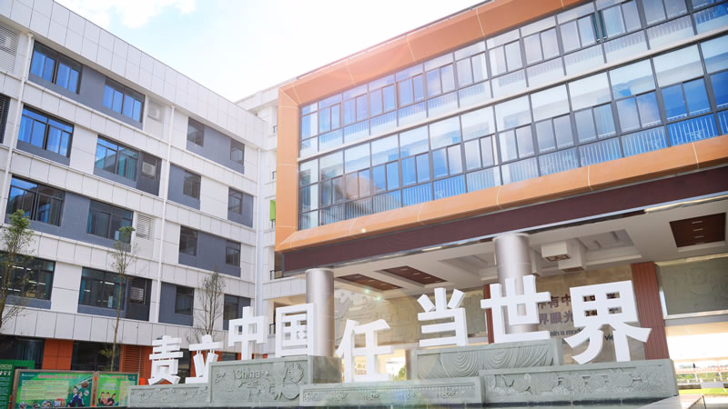 安(ān)州東辰國(guó)際學(xué)校圖片展示