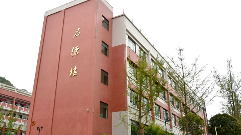 畢節東辰實驗學(xué)校圖片展示