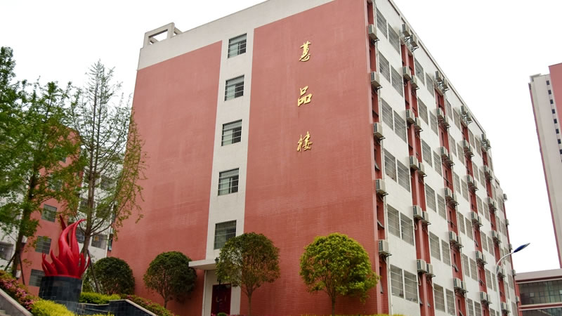 畢節東辰實驗學(xué)校圖片展示