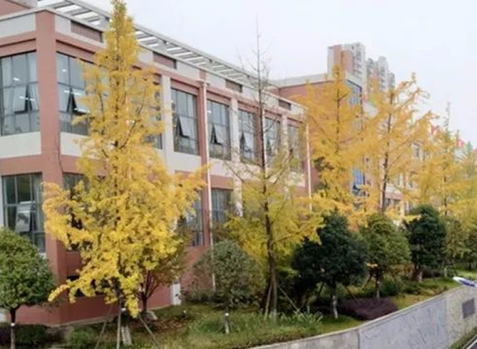 【畢節東辰】停課不停學(xué)（四）丨疫情防控不停止 宅家運動不停歇 ——畢節東辰實驗學(xué)校體(tǐ)育老師教你宅家也能(néng)這樣運動